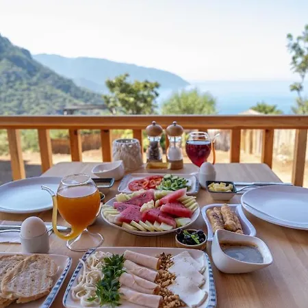 Hotel Goat Bungalow And Camping *